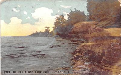 Bluffs along Lake Erie Ripley, New York Postcard