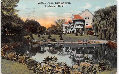 Willow Pond Rochester, New York Postcard