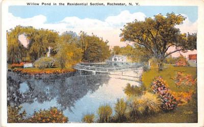 Willow Pond Rochester, New York Postcard