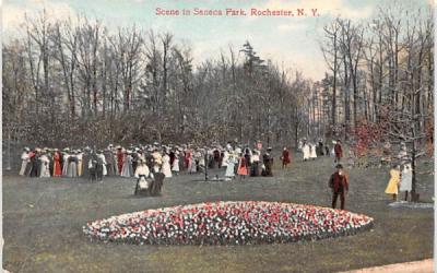 Seneca Park Rochester, New York Postcard
