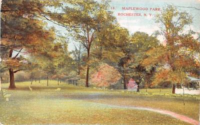 Maplewood Park Rochester, New York Postcard