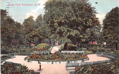 Jones Park Rochester, New York Postcard