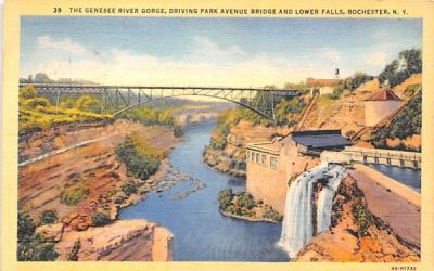 Genesee River Gorge Rochester, New York Postcard