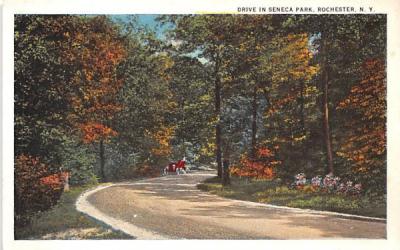 Drive in Seneca Park Rochester, New York Postcard