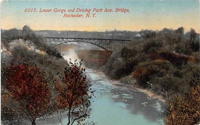 Lower Gorge Rochester, New York Postcard