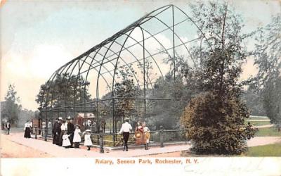 Aviary Rochester, New York Postcard