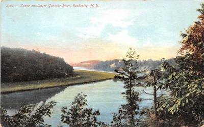 Lower Genesee River Rochester, New York Postcard