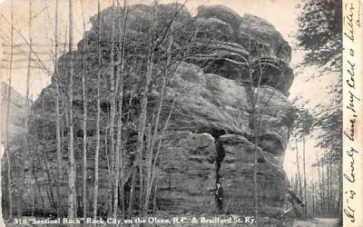 Sentinel Rock Rock City, New York Postcard