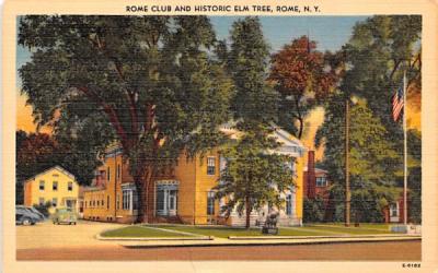 Rome Club & Historic Elm Tree New York Postcard