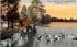 Geese on Trout Lake Rochester, New York Postcard