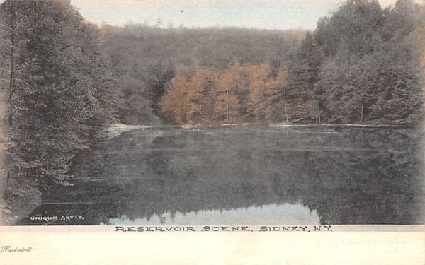 Reservoir Scene Sidney, New York Postcard