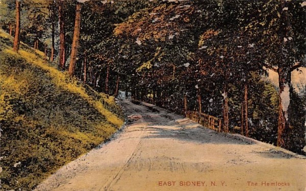 The Hemlocks Sidney, New York Postcard