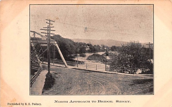 North Approach to Bridge Sidney, New York Postcard