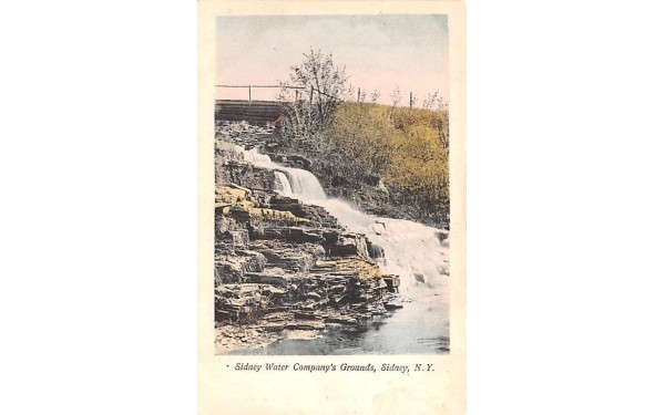 Sidney Water Company's Grounds New York Postcard