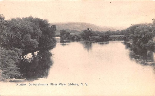 Susquehanna River View Sidney, New York Postcard