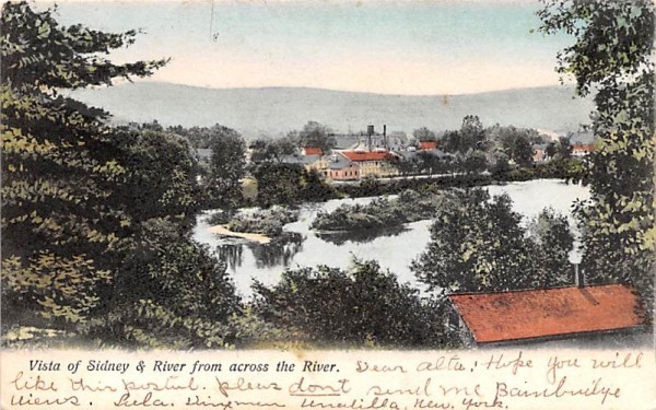Vista of Sidney & River from across the River New York Postcard