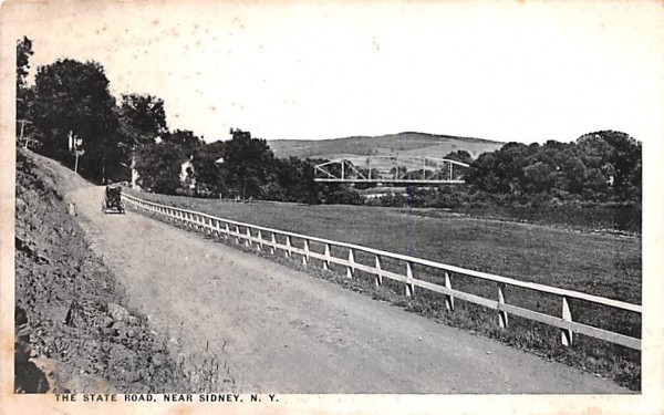 The State Road Sidney, New York Postcard