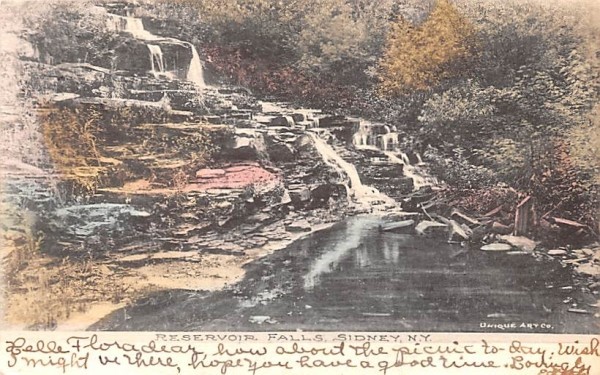 Reservoir Falls Sidney, New York Postcard