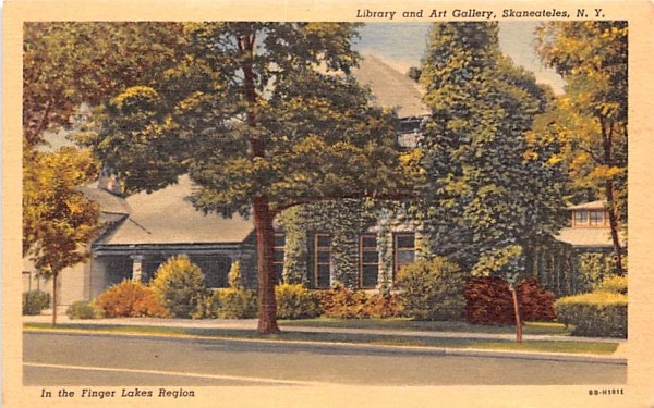 Library & Art Gallery Skaneateles, New York Postcard