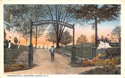 Prospect Hill Cemetery Sidney, New York Postcard