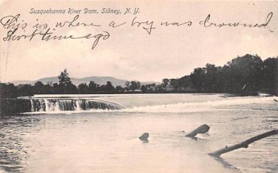 Susquehanna River Dam Sidney, New York Postcard