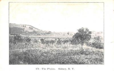 The Plains Sidney, New York Postcard