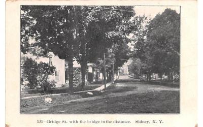 Bridge Street Sidney, New York Postcard
