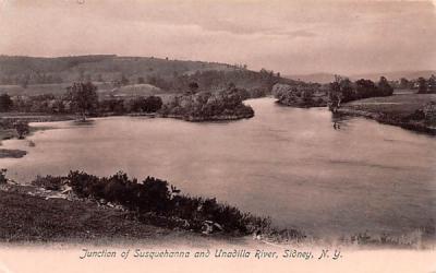 Junction of Susquehanna & Unadilla River Sidney, New York Postcard