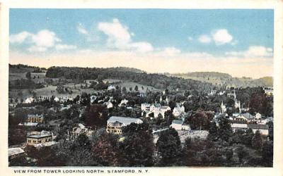 From Tower Looking North Stamford, New York Postcard