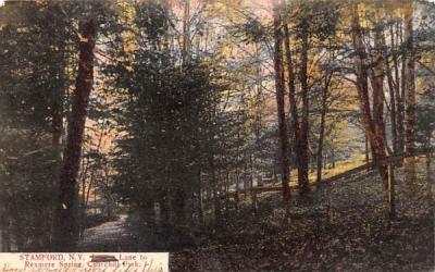 Lane to Rexmere Spring Stamford, New York Postcard