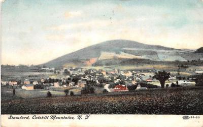 Catskill Mountains Stamford, New York Postcard