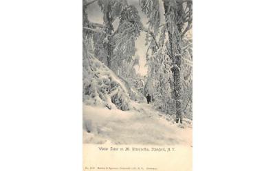 Winter Scene Stamford, New York Postcard