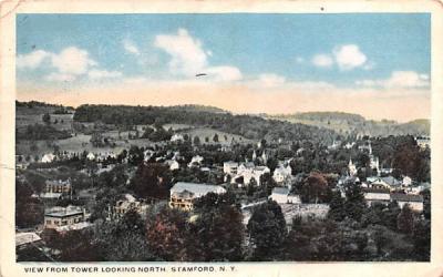 From Tower Looking North Stamford, New York Postcard