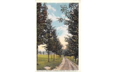 Maple Drive from Hotel Rexmere Stamford, New York Postcard