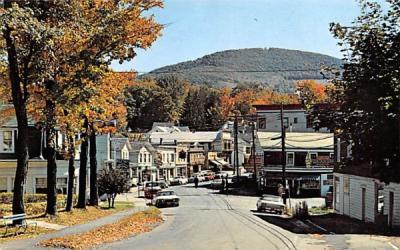 Business Section Stamford, New York Postcard