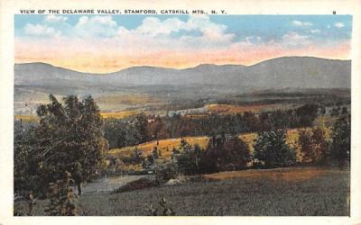 Delaware Valley Stamford, New York Postcard