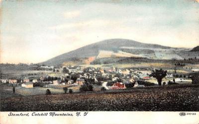 Catskill Mountains Stamford, New York Postcard
