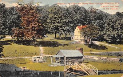 Trappers Log Cabin Stamford, New York Postcard