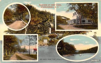 Eddy Farm Sparrowbush, New York Postcard