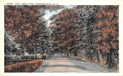 Shady Lane to Eddy Farm Sparrowbush, New York Postcard