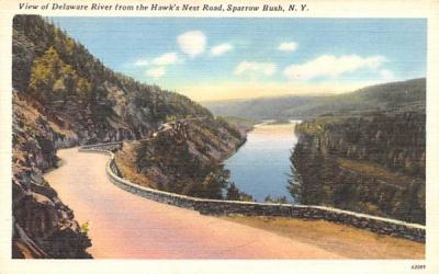 Delaware River Sparrowbush, New York Postcard