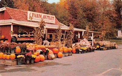 The Farm Outlet Sloatsburg, New York Postcard