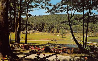 Sterling Forest Gardens New York Postcard