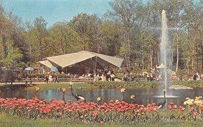 Sterling Forest Gardens New York Postcard