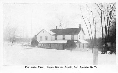 Beaver Brook NY