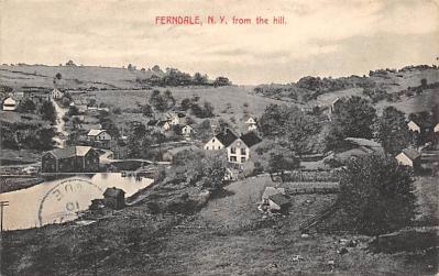 Ferndale NY