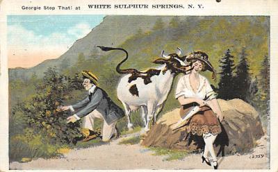 White Sulphur Springs NY