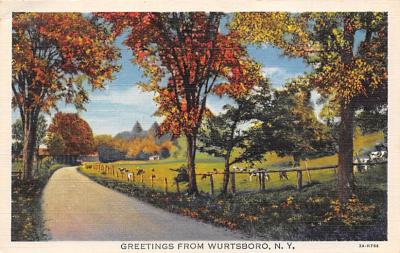 Wurtsboro NY