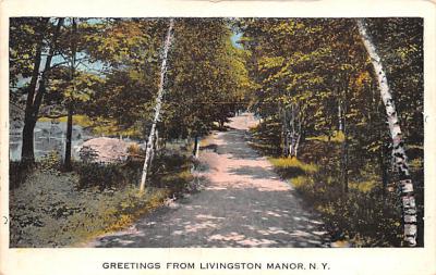 Livingston Manor NY