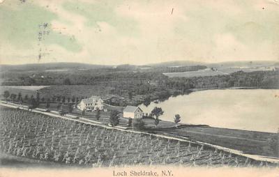 Loch Sheldrake NY